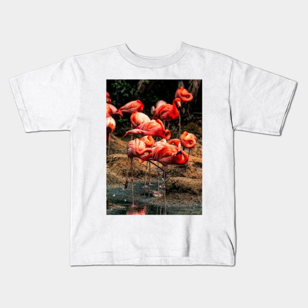 Flamingo Sancturary Kids T-Shirt by Memories4you